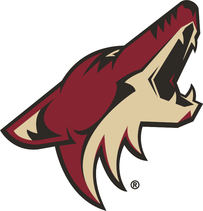 Arizona Coyotes logos iron-ons